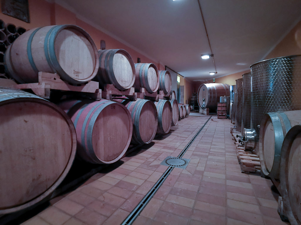 Zona della cantina dedicata alla maturazione dei vini Zazzera, con grandi botti di rovere e contenitori di acciaio ai lati della stanza.